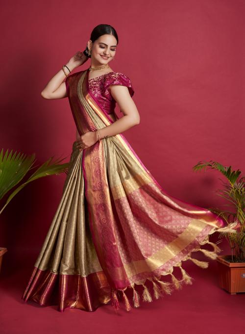 New Beige Banarasi Silk Saree