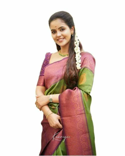 PAVANPUTRA FAB Self Design Banarasi Jacquard Light Green Saree