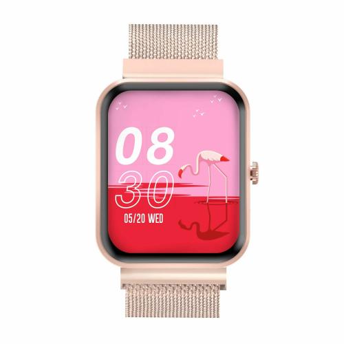 Helix Helix Metal fit 4.0 Unisex Smart Watch- TW0HXW605T