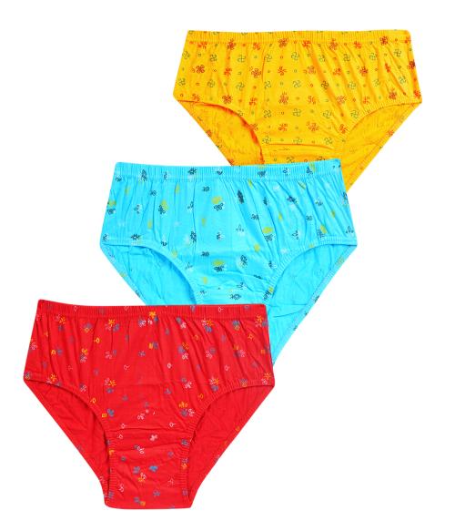 YELLOWDELIGHT Pure cotton Printed Panties 12-13y-3p
