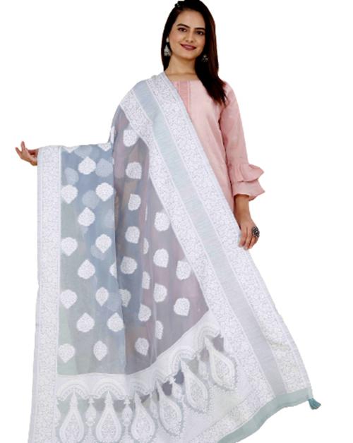 DESI BUTIK Chanderi Dupatta with Lakhnavi Work, 36 * 102 inches