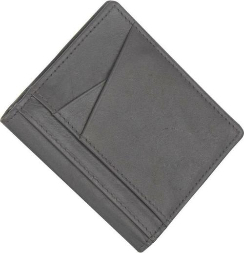 Kartikey Men Grey Rfid Card Holder