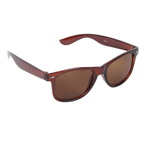 Brown Lens Brown Frame Wayfarer Sunglasses for Men and Women