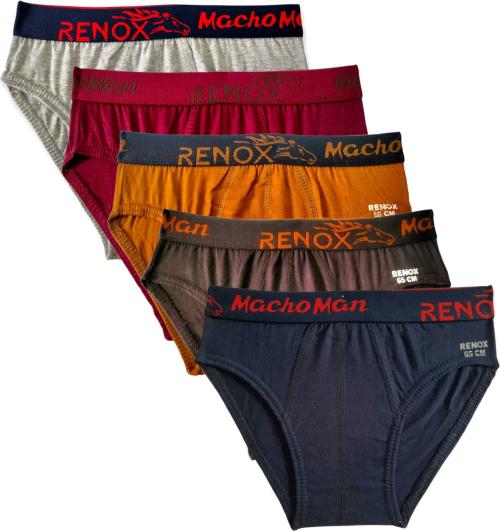 RENOX Boys Multicolor Cotton Pack of 5 Briefs (2-3Y)