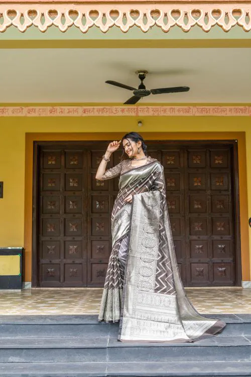 Buy INsthah Women's Bangalori Organza Saree (Coffee) Online at Best ...