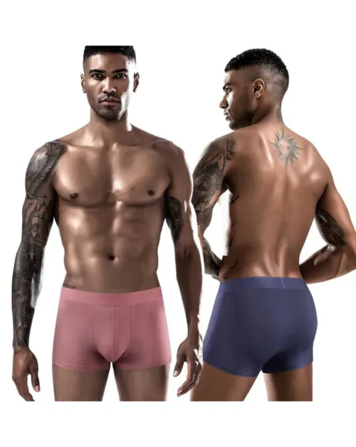 Xolmis Men's Lycra Ultra-Soft Ice Silk Stretch Solid Briefs Boxer Short Underwear Ideal for Working Out, Running, Skiing and Other Outdoor Activities(XXL size)