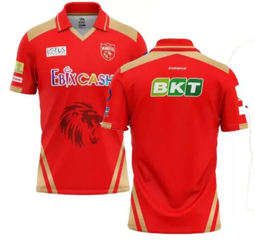 Teky Punjab Cricket Team Jersey 2023/2024 for Men and Boys