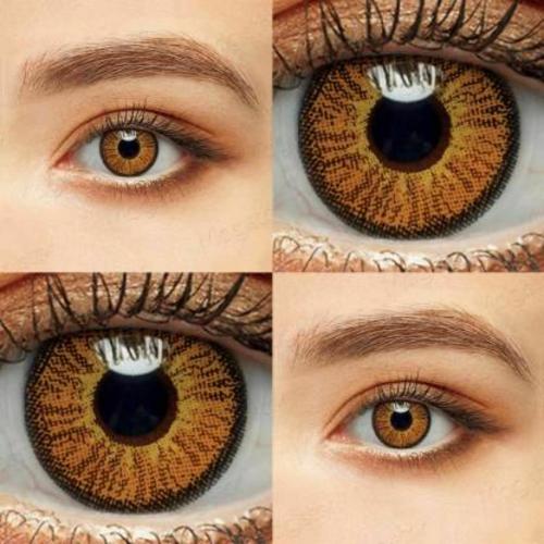 Roseleaf Quarterly Disposable (0 Power, Colored Contact Lenses, Pack of 1)