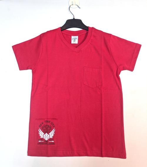 BIO KID BOYS TRENDY T SHIRTS -BK-166-NEW YORK CITY-RED-2-3Y
