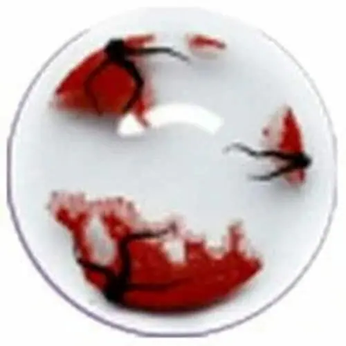 AUGEN Tropical Crazy Lens Yearly Zero Power Contact Lens Red Tree