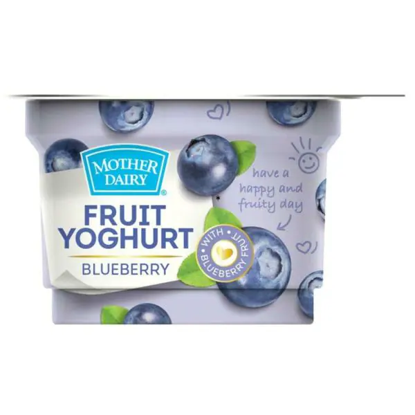 Mother Dairy Blueberry Yogurt 100 g (Cup) JioMart