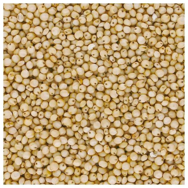Jowar Millet 1 kg JioMart