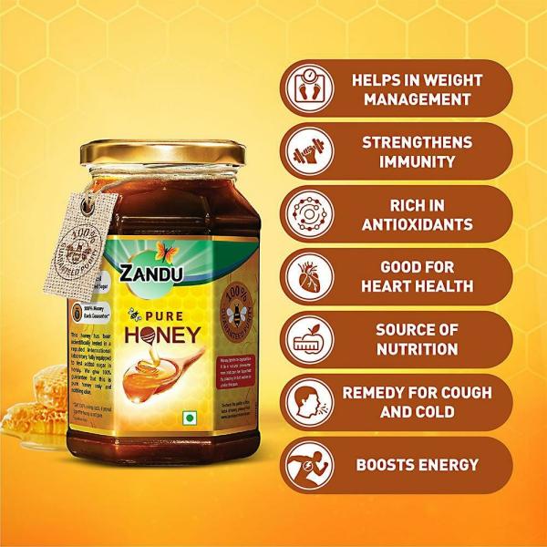 Zandu Pure Honey 500 g JioMart