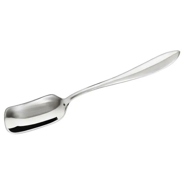 Flexi Kitchen Stainless Steel Ice Cream Spoon (Set of 6) JioMart