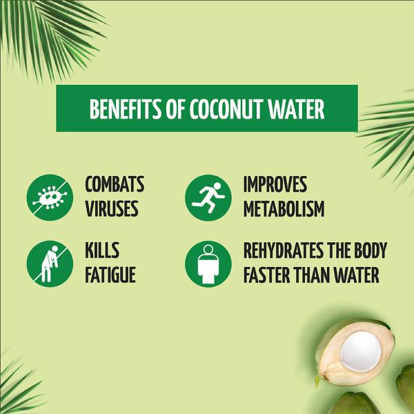 Storia Tender Coconut Water 200 ml JioMart