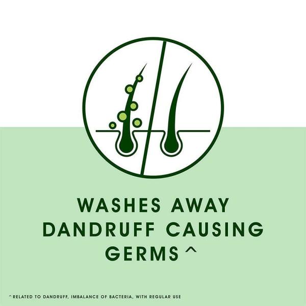 Head & Shoulders Neem AntiDandruff Shampoo 180 ml JioMart