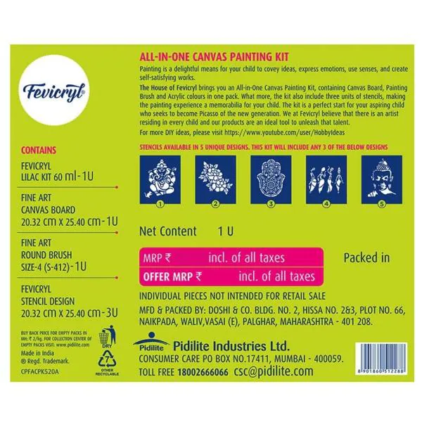 Fevicryl Canvas Board All In One Painting Kit JioMart