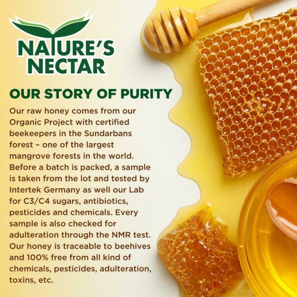 Nature's Nectar Organic Honey with Ginger 325 g JioMart