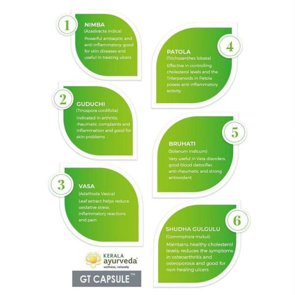 Kerala Ayurveda GT Capsules 100 Nos JioMart