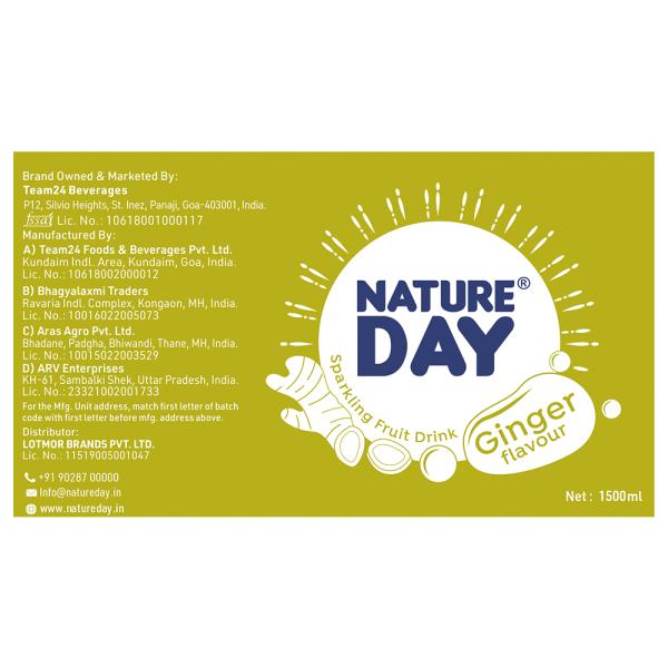 Nature Day Sparkling Fruit Drink Ginger 1.5 L JioMart