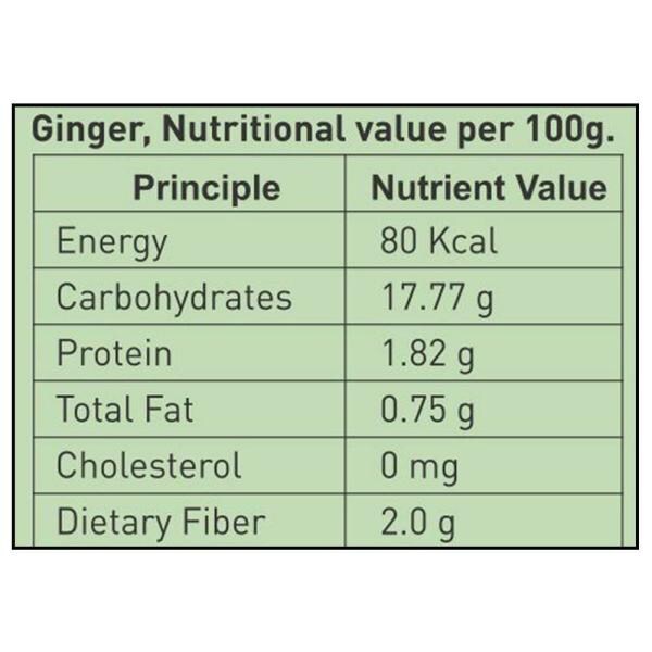 Season's Edition Dried Ginger Powder 100 g JioMart