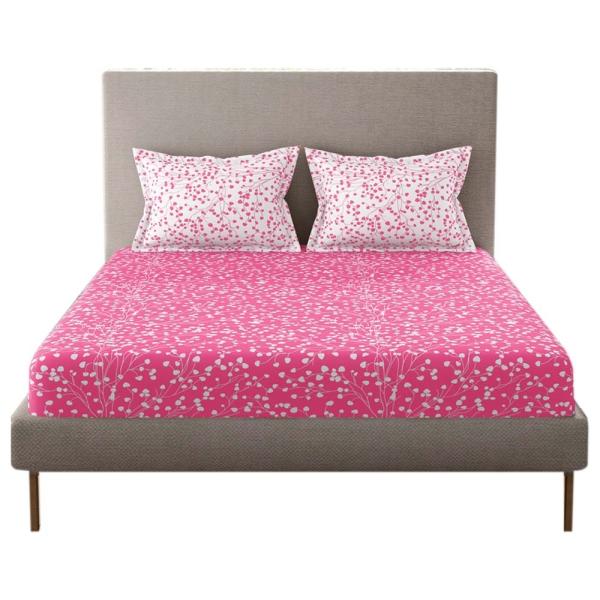 Home Expressions USA Pink Abstract Cotton Super King Bedsheet with 2