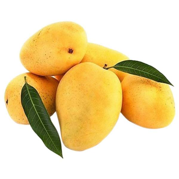 Mango Safeda 1 kg JioMart