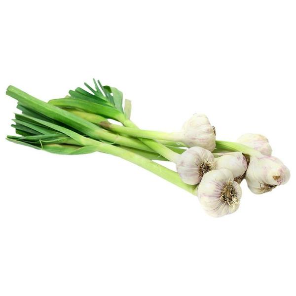 Spring Garlic 100 g JioMart