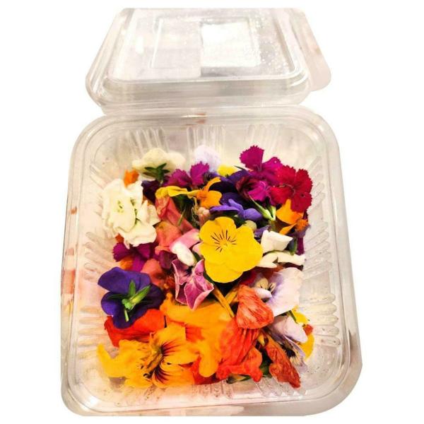 Trikaya Mixed Edible Flowers 20 g JioMart