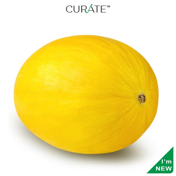 Sun Melon Premium Indian 1 Pc (Approx 1.00 Kg 1.40 Kg) JioMart