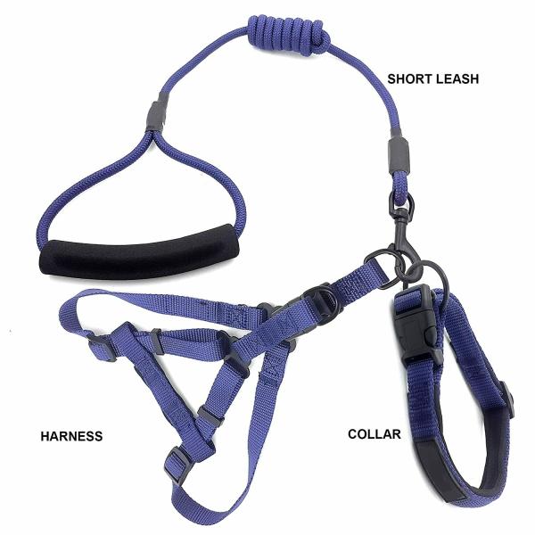 Jainsons Pet Products Nylon Rope Leash with Collar and Harness Set for