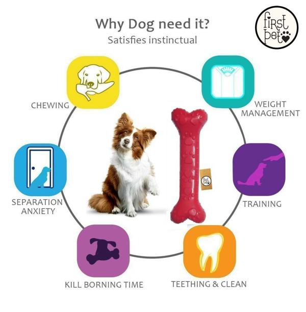 PSK Pet Mart Dogs Toys (Pack Of 5) JioMart