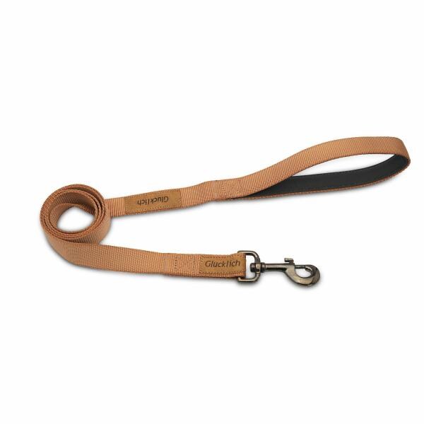 Glucklich 5 FT Heavy Duty Classic Nylon Pet Leashes (L, Brown) JioMart