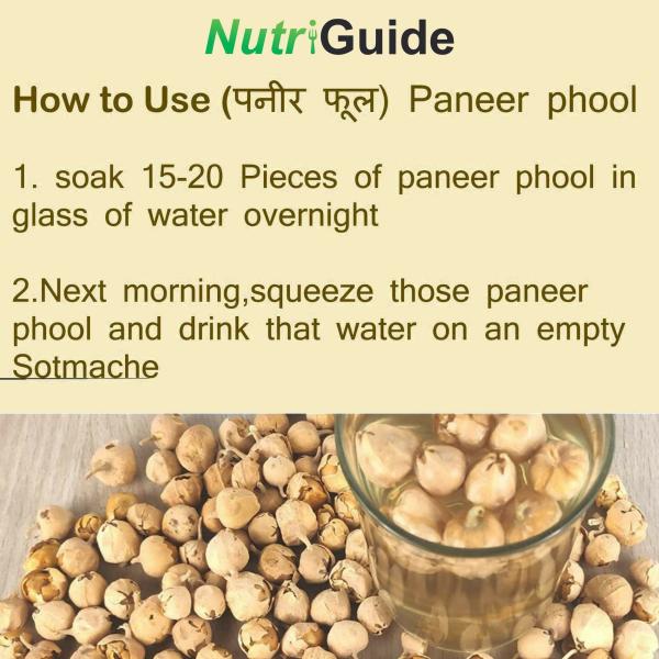 Nutri Guide Paneer Doda Powder 100 g JioMart