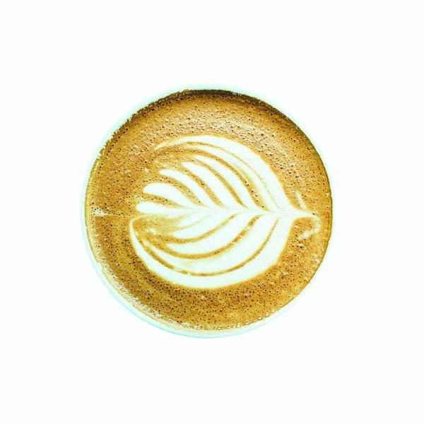 TGL Euphoria Instant Coffee Powder 100Gr JioMart