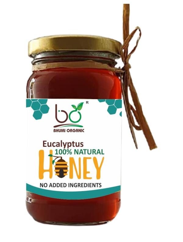Bhumi Organic Natural Eucalyptus Honey JioMart