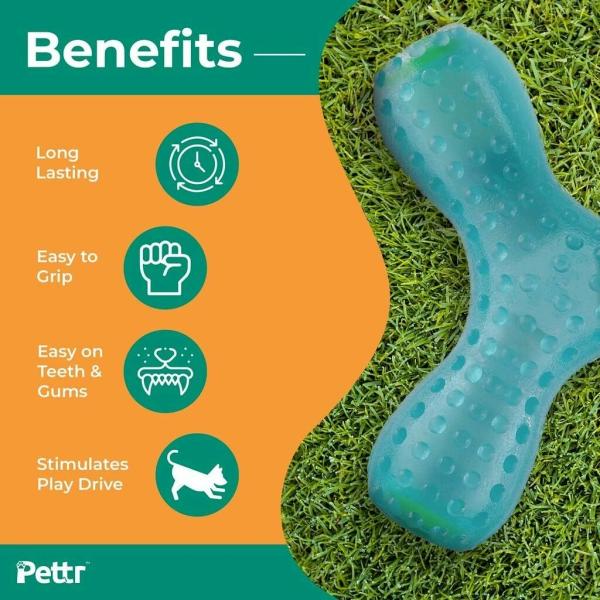 Pettr Interactive Fun Dog Toy Giggle Sound Chatter Toy for Dogs JioMart