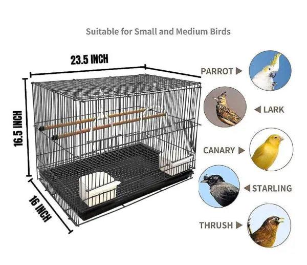 Jainsons 24 Inch Bird Cage Best for Lovebird, Parrot, Parakeet, Budgie