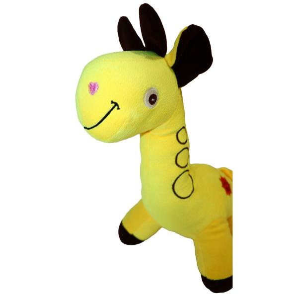 Jack & Rose Toys JioMart