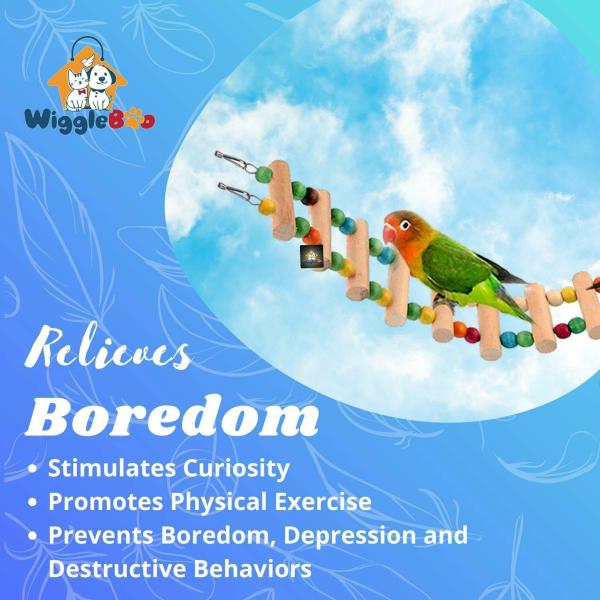 Wiggleboo Bird Ladder Toy Flexible Hanging Cage Toy For Birds For