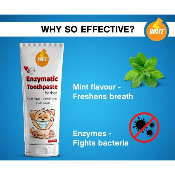 Boltz Enzymatic Toothpaste For Dogs 100g With Mint Flavor JioMart