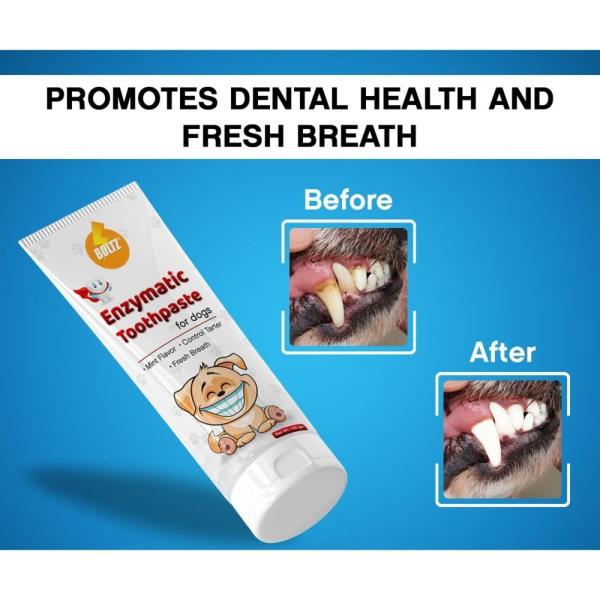 canine enzymatic toothpaste