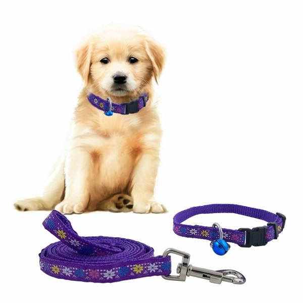 Jainsons Pet Products Dog Cat Nylon Collar & Leash Set 10mm for Durable