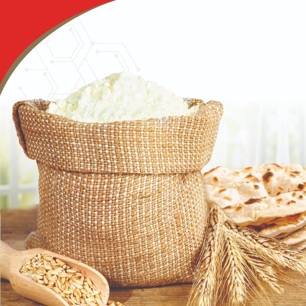 Futurelife Oats Atta Whole Grains Oats With Targeted Minerals of