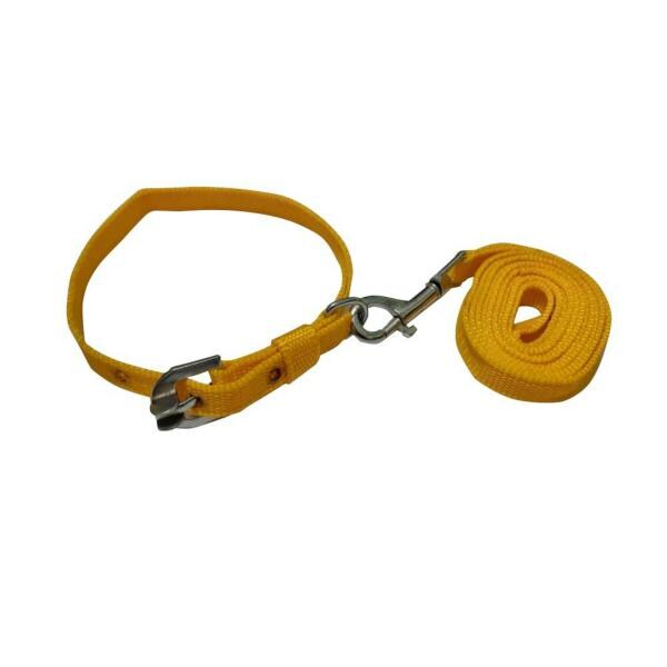 Dog Wala Nylon Collar With Leash Set For Puppies And Dogs ,Yellow JioMart