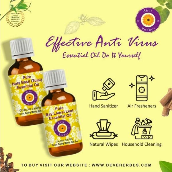 Deve Herbes Pure Holy Basil Essential Oil (Ocimum sanctum) Natural