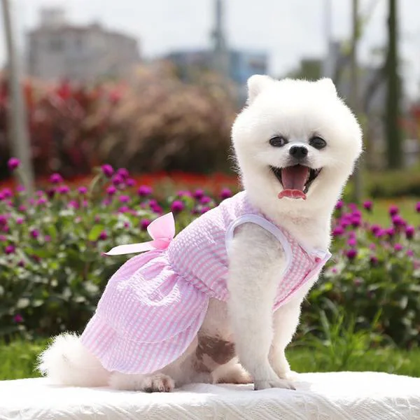 toespraak Moedig salami KUTKUT Dress for Small Dog Girl Puppy Clothes Female Princess Tutu Striped  Skirt Summer Shirt for ShihTzu, Maltese Cat Pet Apparel Outfits (Size: L,  Chest: 45cm, Length: 35cm) - JioMart
