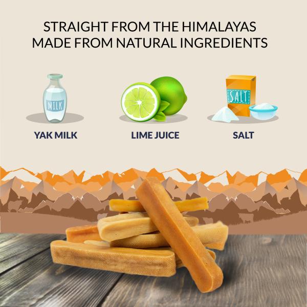 Goofy Tails Himalayan Yak Milk Dog Chew Vegetarian Dog Treat 1 Large