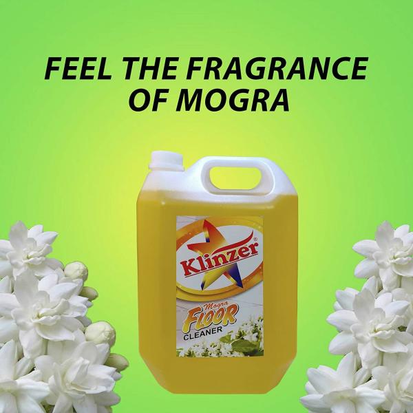 Klinzer Floor Cleaner Mogra, 5 L JioMart