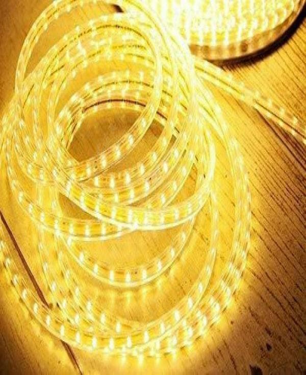 Astern Yellow Rice Lights 1000 LED/10inch JioMart